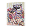 Familia Owl (CH0690)