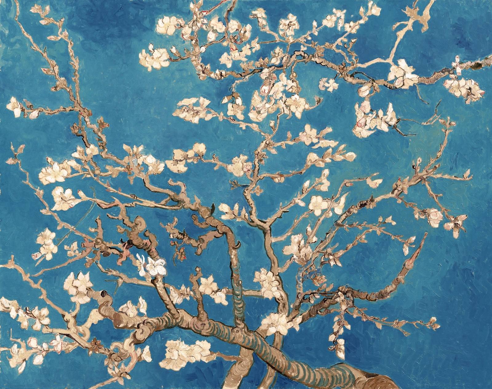 Vincent Van Gogh - mandula virágok (LK0011)