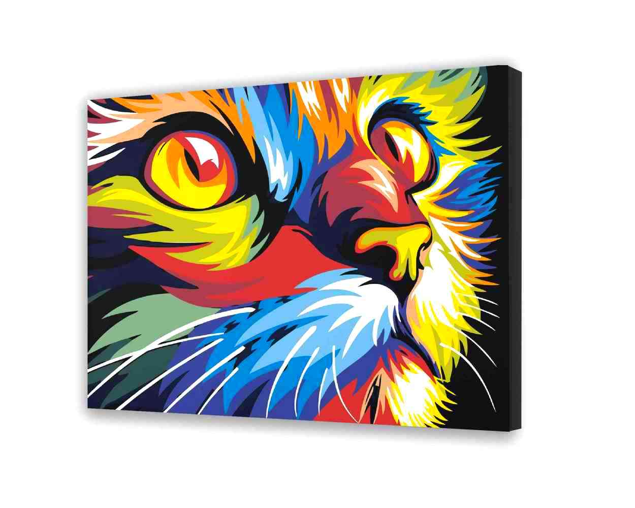 Malování podle čísel Vícebarevná Kočka